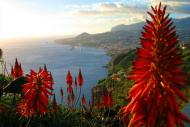 Foto van Funchal