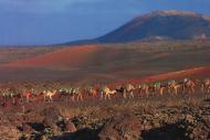 Foto van Lanzarote